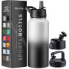 imageFineDine Water Bottle  Stainless Steel Insulated Water Bottle with Straw Lid Flip Lid ampamp WideMouth Cap  Keeps Hot and Cold  25 Oz  739ml  Army GreenDreamy BlackWhite
